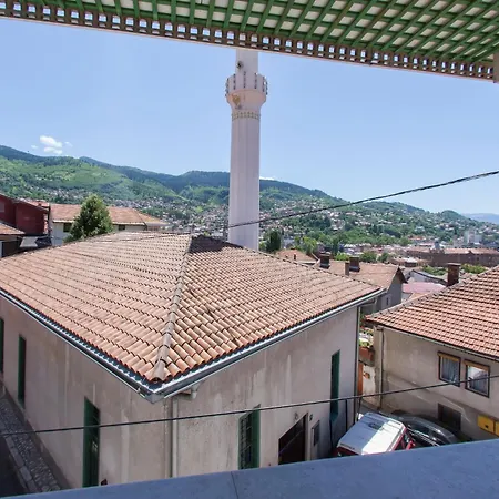 Hayat